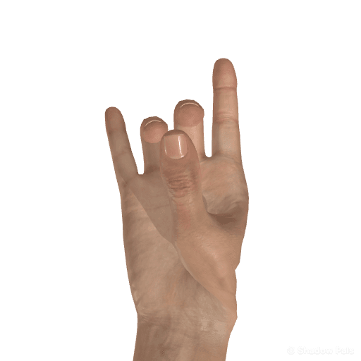 Palmar view hand pose reference for the Shadow Pals deer figure.