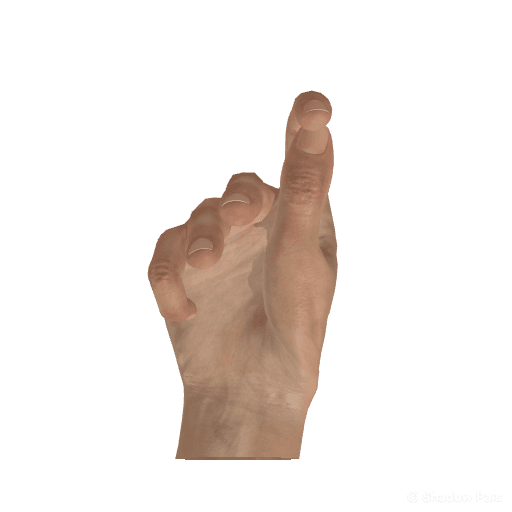 Palmar view hand pose reference for the Shadow Pals rabbit figure.